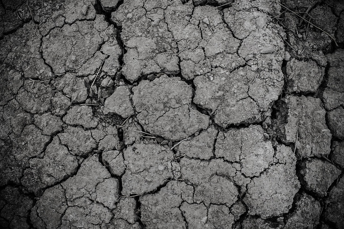 ground, gray, dirt, drought, arid, texture, land, dry, soil, crack, cracked, erosion, dirty, rough, desert, dust, surface, clay, barren, gray texture, gray desert, monochrome, nature, black and white