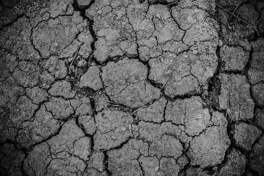 ground, gray, dirt, drought, arid, texture, land, dry, soil, crack, cracked, erosion, dirty, rough, desert, dust, surface, clay, barren, gray texture, gray desert, monochrome, nature, black and white